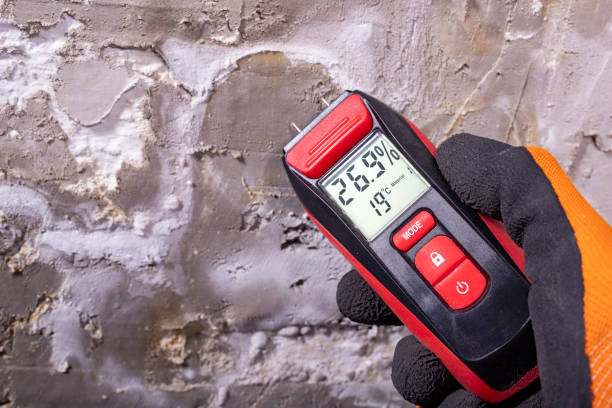 Best Black Mold Removal  in Otsego, MI