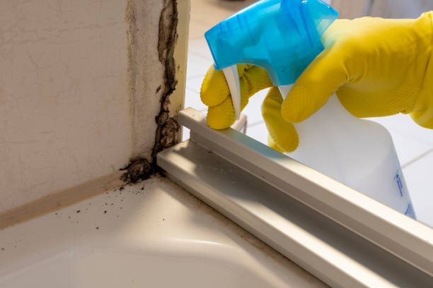 Best Mold Testing  in Otsego, MI