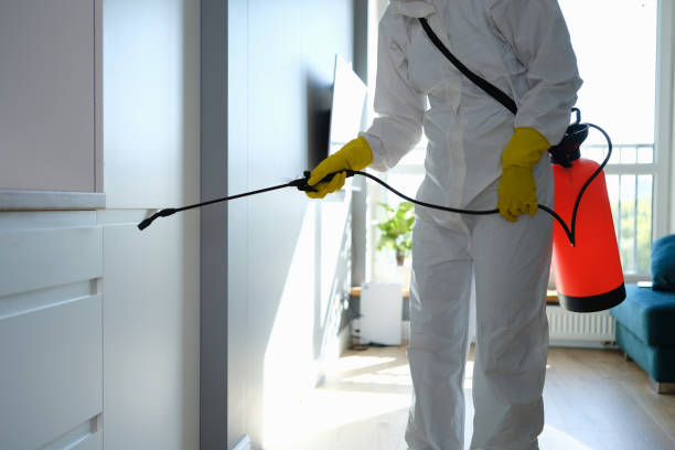 Best Mold Testing  in Otsego, MI