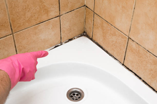 Best Residential Mold Removal  in Otsego, MI